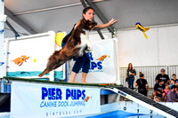 2018 Wisconsin State Fair Dog Dock Diving Competition