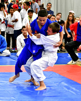 2017 Wisconsin State Fair Judo Competition